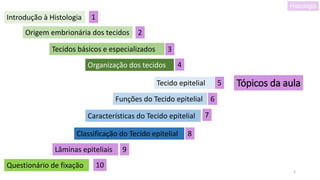 3
Introdução à Histologia
Tópicos da aula
Origem embrionária dos tecidos
Tecidos básicos e especializados
Organização dos tecidos
Tecido epitelial
Funções do Tecido epitelial
Características do Tecido epitelial
Classificação do Tecido epitelial
Histologia
Questionário de fixação
Lâminas epiteliais
1
2
3
4
5
6
7
8
9
10
 