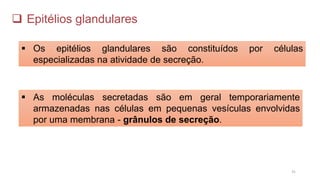 ❑ Epitélios glandulares
▪ Os epitélios glandulares são constituídos por células
especializadas na atividade de secreção.
▪ As moléculas secretadas são em geral temporariamente
armazenadas nas células em pequenas vesículas envolvidas
por uma membrana - grânulos de secreção.
31
 
