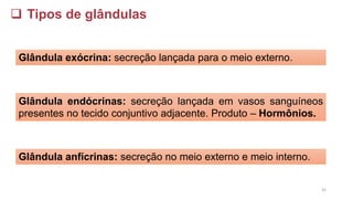 Glândula endócrinas: secreção lançada em vasos sanguíneos
presentes no tecido conjuntivo adjacente. Produto – Hormônios.
Glândula exócrina: secreção lançada para o meio externo.
Glândula anfícrinas: secreção no meio externo e meio interno.
❑ Tipos de glândulas
35
 