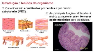 ❑ As principais funções atribuídas à
matriz extracelular eram fornecer
apoio mecânico para as células.
Introdução / Tecidos do organismo
❑ Os tecidos são constituídos por células e por matriz
extracelular (MEC).
4
 