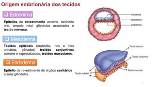 ❑ Ectoderma
❑ Endoderma
❑ Mesoderma
Tecidos epiteliais (endotélio, rins e vias
urinárias, gônadas) tecidos conjuntivos
comuns e especializados, tecidos musculares.
Epitélios de revestimento externo, cavidade
oral, ampola retal, glândulas associadas e
tecido nervoso.
Epitélio de revestimento de órgãos cavitários
e suas glândulas.
Origem embrionária dos tecidos
5
 