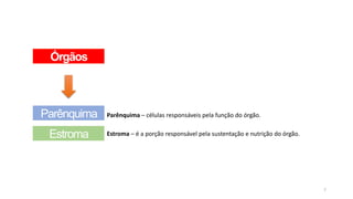 7
Órgãos
Parênquima
Estroma
Parênquima – células responsáveis pela função do órgão.
Estroma – é a porção responsável pela sustentação e nutrição do órgão.
 