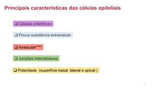 Principais características das células epiteliais
❑ Células poliédricas
❑ Pouca substância extracelular
❑ Avascular****
❑ Junções intercelulares
❑ Polaridade (superfície basal, lateral e apical )
9
 