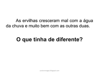 As ervilhas cresceram mal com a água
da chuva e muito bem com as outras duas.
O que tinha de diferente?
carolcorreageo.blogspot.com
 