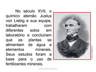 No século XVII, o
químico alemão Justus
von Liebig e sua equipe,
trabalharam com
diferentes solos em
laboratório e concluíram
que as plantas se
alimentam de água e
elementos minerais.
Seus estudos foram a
base para o uso de
fertilizantes minerais.
Fonte:en.wikipedia.org
carolcorreageo.blogspot.com
 