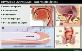 drbarbosa.org
 Mucosa ou Epitélio
 Vascularização
 Rede Linfática
 Área de Exposição
 DSTs ou Lesões de Órgãos
Prepúc...