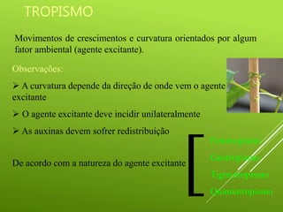 TROPISMO
Movimentos de crescimentos e curvatura orientados por algum
fator ambiental (agente excitante).
De acordo com a natureza do agente excitante
Observações:
 A curvatura depende da direção de onde vem o agente
excitante
 O agente excitante deve incidir unilateralmente
 As auxinas devem sofrer redistribuição
[
Fototropismo
Geotropismo
Tigmotropismo
Quimiotropismo
 