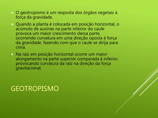 GEOTROPISMO
 O geotropismo é um resposta dos órgãos vegetais à
força da gravidade.
 Quando a planta é colocada em posição horizontal, o
acúmulo de auxinas na parte inferior do caule
provoca um maior crescimento dessa parte,
ocorrendo curvatura em uma direção oposta à força
da gravidade, fazendo com que o caule se dirija para
cima.
 Na raiz em posição horizontal ocorre um maior
alongamento na parte superior comparada à inferior,
provocando curvatura da raiz na direção da força
gravitacional.
 