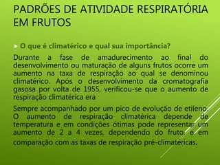 PADRÕES DE ATIVIDADE RESPIRATÓRIA
EM FRUTOS
 O que é climatérico e qual sua importância?
Durante a fase de amadurecimento ao final do
desenvolvimento ou maturação de alguns frutos ocorre um
aumento na taxa de respiração ao qual se denominou
climatérico. Após o desenvolvimento da cromatografia
gasosa por volta de 1955, verificou-se que o aumento de
respiração climatérica era
Sempre acompanhado por um pico de evolução de etileno.
O aumento de respiração climatérica depende de
temperatura e em condições ótimas pode representar um
aumento de 2 a 4 vezes, dependendo do fruto, e em
comparação com as taxas de respiração pré-climatéricas.
 