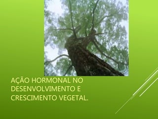 AÇÃO HORMONAL NO
DESENVOLVIMENTO E
CRESCIMENTO VEGETAL.
 