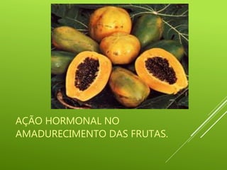 AÇÃO HORMONAL NO
AMADURECIMENTO DAS FRUTAS.
 