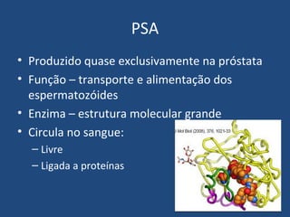 PSA
• Produzido quase exclusivamente na próstata
• Função – transporte e alimentação dos
espermatozóides
• Enzima – estrutura molecular grande
• Circula no sangue:
– Livre
– Ligada a proteínas

 