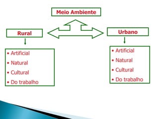 Meio Ambiente Urbano Rural Artificial Natural Cultural Do trabalho Artificial Natural Cultural Do trabalho 