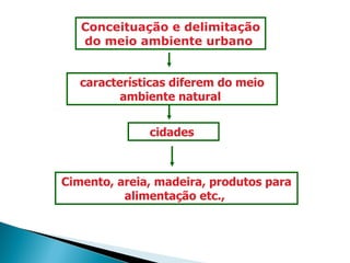 Conceituação e delimitação do meio ambiente urbano  características diferem do meio ambiente natural  cidades  Cimento, areia, madeira, produtos para alimentação etc.,  