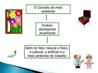 O Conceito de meio ambiente Evoluiu abrangendo atualmente Além do fator natural e físico, o cultural, o artificial e o meio ambiente do trabalho 