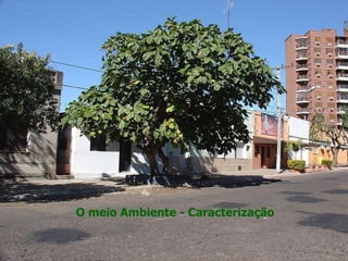 O meio Ambiente - Caracterização 