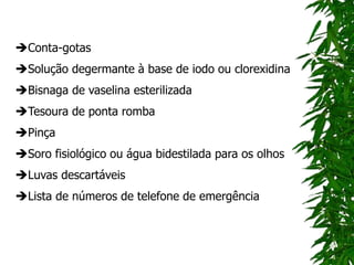 Conta-gotas
Solução degermante à base de iodo ou clorexidina
Bisnaga de vaselina esterilizada
Tesoura de ponta romba
Pinça
Soro fisiológico ou água bidestilada para os olhos
Luvas descartáveis
Lista de números de telefone de emergência
 