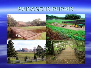 PAISAGENS RURAIS 