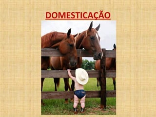 DOMESTICAÇÃO 
 