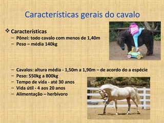 Características gerais do cavalo 
Características 
– Pônei: todo cavalo com menos de 1,40m 
– Peso – média 140kg 
– Cavalos: altura média - 1,50m a 1,90m – de acordo do a espécie 
– Peso: 550kg a 800kg 
– Tempo de vida - até 30 anos 
– Vida útil - 4 aos 20 anos 
– Alimentação – herbívoro 
 