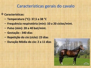 Características gerais do cavalo 
Características: 
– Temperatura (°C): 37,5 a 38 °C 
– Frequência respiratória (min): 10 a 20 ciclos/mint. 
– Pulso (min): 28 a 40 bat/mint. 
– Gestação : 340 dias 
– Repetição do cio (ciclo): 23 dias 
– Duração Média do cio: 2 a 11 dias 
 