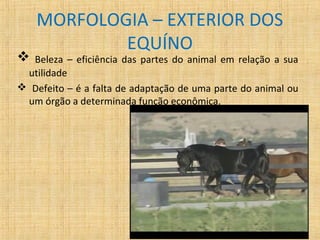 MORFOLOGIA – EXTERIOR DOS 
EQUÍNO 
 Beleza – eficiência das partes do animal em relação a sua 
utilidade 
 Defeito – é a falta de adaptação de uma parte do animal ou 
um órgão a determinada função econômica. 
 