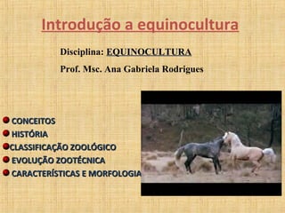 Introdução a equinocultura 
Disciplina: EEQQUUIINNOOCCUULLTTUURRAA 
Prof. Msc. Ana Gabriela Rodrigues 
CCOONNCCEEIITTOOSS 
HHIISSTTÓÓRRIIAA 
CCLLAASSSSIIFFIICCAAÇÇÃÃOO ZZOOOOLLÓÓGGIICCOO 
EEVVOOLLUUÇÇÃÃOO ZZOOOOTTÉÉCCNNIICCAA 
CCAARRAACCTTEERRÍÍSSTTIICCAASS EE MMOORRFFOOLLOOGGIIAA 
 