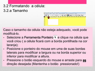3.2 Formatando a célula: 
3.2.a Tamanho 
Caso o tamanho da célula não esteja adequado, você pode modificá-lo. 
-Selecione a Ferramenta Ponteiro e clique na célula que você criou ( a célula ficará com a borda pontilhada na cor laranja); 
-Posicione o ponteiro do mouse em uma de suas bordas laterais para modificar a largura ou na borda superior ou inferior para modificar a altura. 
-Pressione o botão esquerdo do mouse e arraste para a direção desejada (Mantenha o botão pressionado!) 
28  