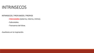 INTRINSECOS
INTRINSECOS / PROFUNDOS / PROPIOS
- Intercostales (externo, interno, intimo).
- Subcostales.
- Transverso del tórax.
- Auxiliares en la inspiración.
 