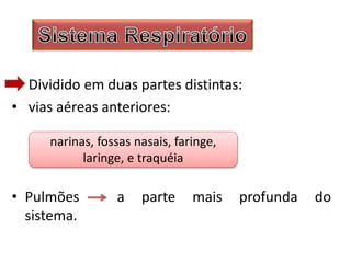 Dividido em duas partes distintas:
• vias aéreas anteriores:
• Pulmões a parte mais profunda do
sistema.
narinas, fossas nasais, faringe,
laringe, e traquéia
 