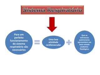 Para um
perfeito
funcionamento
do sistema
respiratório são
necessários
Uma boa
atividade
cardiovascular
Que as
estruturas
pulmonares
apresentem um
bom estado
anátomo-
fisiológico;
 