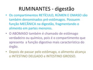 RUMINANTES - digestão
• Os compartimentos RETÍCULO, RÚMEN E OMASO são
também denominados pré-estômagos. Possuem
função MECÂNICA na digestão, fragmentando o
alimento em partes menores.
• O ABOMASO também é chamado de estômago
verdadeiro ou químico, pois é o compartimento que
apresenta a função digestiva mais característica do
órgão.
• Depois de passar pelo estômago, o alimento alcança
o INTESTINO DELGADO e INTESTINO GROSSO.
 