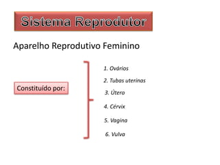 Aparelho Reprodutivo Feminino
Constituído por:
1. Ovários
2. Tubas uterinas
3. Útero
4. Cérvix
5. Vagina
6. Vulva
 