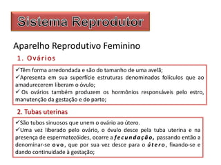 Aparelho Reprodutivo Feminino
Têm forma arredondada e são do tamanho de uma avelã;
Apresenta em sua superfície estruturas denominados folículos que ao
amadurecerem liberam o óvulo;
 Os ovários também produzem os hormônios responsáveis pelo estro,
manutenção da gestação e do parto;
1. Ovários
São tubos sinuosos que unem o ovário ao útero.
Uma vez liberado pelo ovário, o óvulo desce pela tuba uterina e na
presença de espermatozóides, ocorre a fecundação, passando então a
denominar-se ovo , que por sua vez desce para o útero, fixando-se e
dando continuidade à gestação;
2. Tubas uterinas
 