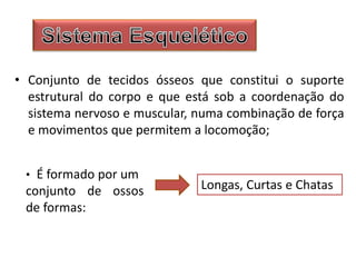 • Conjunto de tecidos ósseos que constitui o suporte
estrutural do corpo e que está sob a coordenação do
sistema nervoso e muscular, numa combinação de força
e movimentos que permitem a locomoção;
• É formado por um
conjunto de ossos
de formas:
Longas, Curtas e Chatas
 