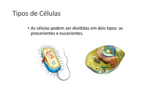 Tipos de Células
• As células podem ser divididas em dois tipos: as
procariontes e eucariontes.
 