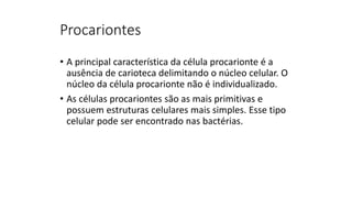 Procariontes
• A principal característica da célula procarionte é a
ausência de carioteca delimitando o núcleo celular. O
núcleo da célula procarionte não é individualizado.
• As células procariontes são as mais primitivas e
possuem estruturas celulares mais simples. Esse tipo
celular pode ser encontrado nas bactérias.
 
