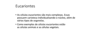Eucariontes
• As células eucariontes são mais complexas. Essas
possuem carioteca individualizando o núcleo, além de
vários tipos de organelas.
• Como exemplos de células eucariontes estão
as células animais e as células vegetais.
 