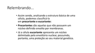 Relembrando...
• Assim sendo, analisando a estrutura básica de uma
célula, podemos classificá-la
em procarionte e eucarionte:
• Procariontes são aquelas que não possuem um
núcleo definido envolto por membranas.
• Já a célula eucarionte apresenta um núcleo
delimitado pelo envoltório nuclear, possuindo,
portanto, uma proteção ao seu material genético.
 