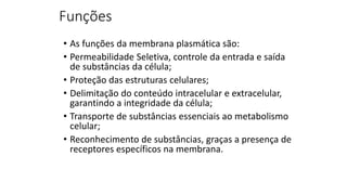 Funções
• As funções da membrana plasmática são:
• Permeabilidade Seletiva, controle da entrada e saída
de substâncias da célula;
• Proteção das estruturas celulares;
• Delimitação do conteúdo intracelular e extracelular,
garantindo a integridade da célula;
• Transporte de substâncias essenciais ao metabolismo
celular;
• Reconhecimento de substâncias, graças a presença de
receptores específicos na membrana.
 