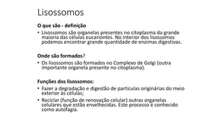 Lisossomos
O que são - definição
• Lisossomos são organelas presentes no citoplasma da grande
maioria das células eucariontes. No interior dos lisossomos
podemos encontrar grande quantidade de enzimas digestivas.
Onde são formados?
• Os lisossomos são formados no Complexo de Golgi (outra
importante organela presente no citoplasma).
Funções dos lisossomos:
• Fazer a degradação e digestão de partículas originárias do meio
exterior às células;
• Reciclar (função de renovação celular) outras organelas
celulares que estão envelhecidas. Este processo é conhecido
como autofagia.
 