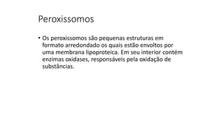 Peroxissomos
• Os peroxissomos são pequenas estruturas em
formato arredondado os quais estão envoltos por
uma membrana lipoproteica. Em seu interior contém
enzimas oxidases, responsáveis pela oxidação de
substâncias.
 