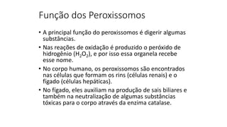 Função dos Peroxissomos
• A principal função do peroxissomos é digerir algumas
substâncias.
• Nas reações de oxidação é produzido o peróxido de
hidrogênio (H2O2), e por isso essa organela recebe
esse nome.
• No corpo humano, os peroxissomos são encontrados
nas células que formam os rins (células renais) e o
fígado (células hepáticas).
• No fígado, eles auxiliam na produção de sais biliares e
também na neutralização de algumas substâncias
tóxicas para o corpo através da enzima catalase.
 