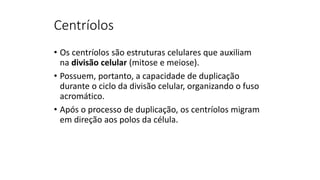 Centríolos
• Os centríolos são estruturas celulares que auxiliam
na divisão celular (mitose e meiose).
• Possuem, portanto, a capacidade de duplicação
durante o ciclo da divisão celular, organizando o fuso
acromático.
• Após o processo de duplicação, os centríolos migram
em direção aos polos da célula.
 