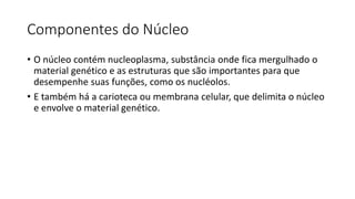 Componentes do Núcleo
• O núcleo contém nucleoplasma, substância onde fica mergulhado o
material genético e as estruturas que são importantes para que
desempenhe suas funções, como os nucléolos.
• E também há a carioteca ou membrana celular, que delimita o núcleo
e envolve o material genético.
 