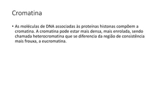 Cromatina
• As moléculas de DNA associadas às proteínas histonas compõem a
cromatina. A cromatina pode estar mais densa, mais enrolada, sendo
chamada heterocromatina que se diferencia da região de consistência
mais frouxa, a eucromatina.
 