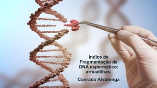 Indice de
Fragmentação de
DNA espermático:
armadilhas.
Conrado Alvarenga
 