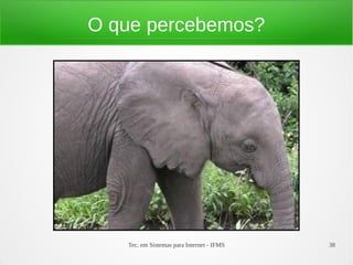 Tec. em Sistemas para Internet - IFMS 38
O que percebemos?
 