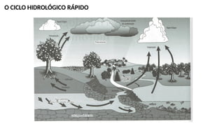 O CICLO HIDROLÓGICO RÁPIDO
 