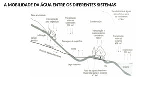 A MOBILIDADE DA ÁGUA ENTRE OS DIFERENTES SISTEMAS
 
